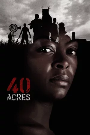 40 Acres